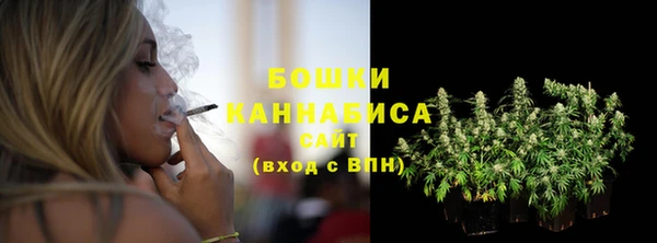 стаф Бронницы
