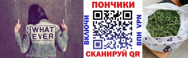 mega маркетплейс  даркнет сайт  Нытва  Шишки марихуана индика 